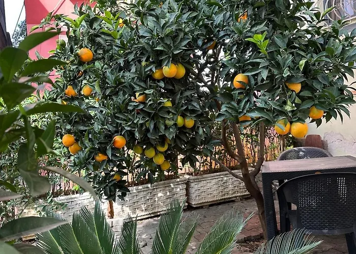 Apartment Comfort&cozy Near Airport & Bus Terminal Tirana