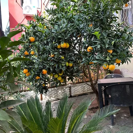 Apartamento Comfort&cozy Near Airport & Bus Terminal Tirana